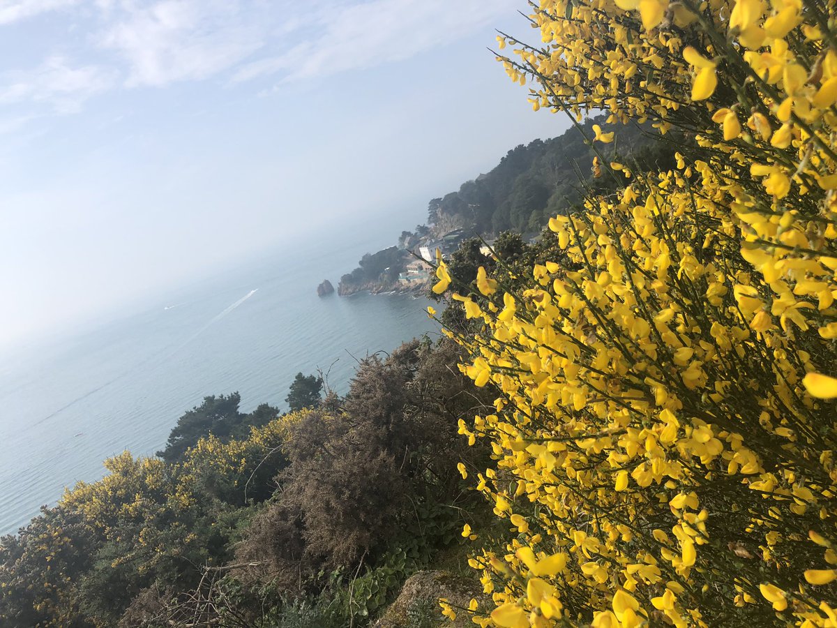 SMcCJersey's tweet photo. Walking out west! Nearly time for the @JerseyMencap South Coast Challenge! ☀️ https://t.co/SFZ1WvTmA4