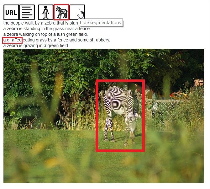 WilliamNHavard's tweet image. It seems some MSCOCO annotators had a few animal naming issues... #mscoco #cocodataset