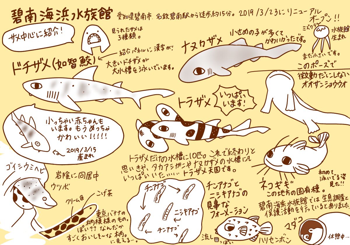 水族館イラストまとめ 19