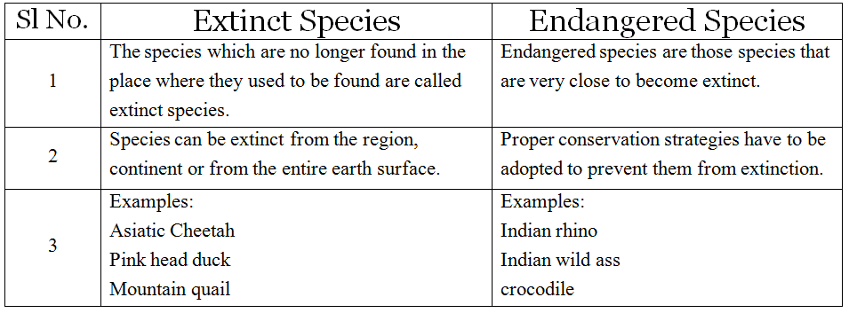 RahulBarot96's tweet photo. #HappyEarthDay day to us and letโs not try to become an #Endangered species. Bring a change in our thinking because #ocean is rising, #Earth is trembling & #forests are less for the 7.7 billion people. #Save mother earth from getting destroyed before Supernova. #StopTheExtinction https://t.co/LtBzI8diWh