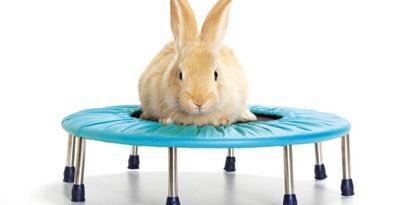 DMU Trampolining tweet media