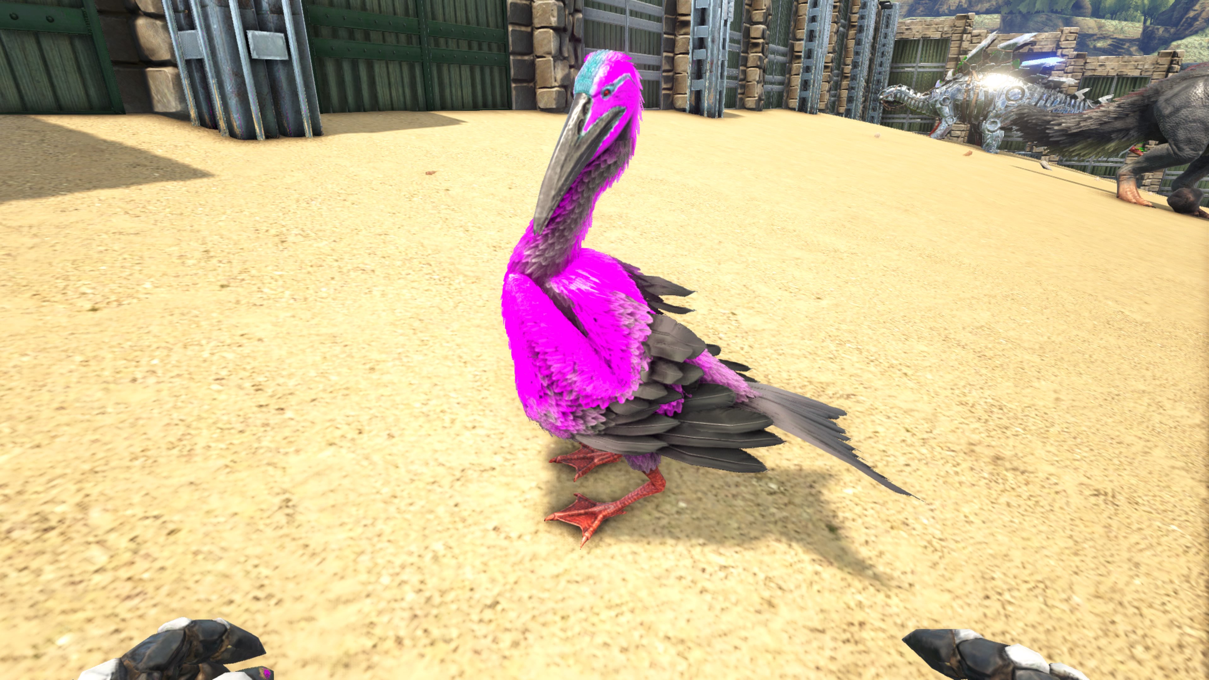 あふろ イキマース Ark センター活動 イクチオルニス新調しました よく皆から嫌われる君だけど 俺にはカワウソ テイムの頼もしい相棒だよ 写真 カワウソ良いの出会えなくなって ヘスペロルニスおじさんになりそう 写真 ユウティ探して