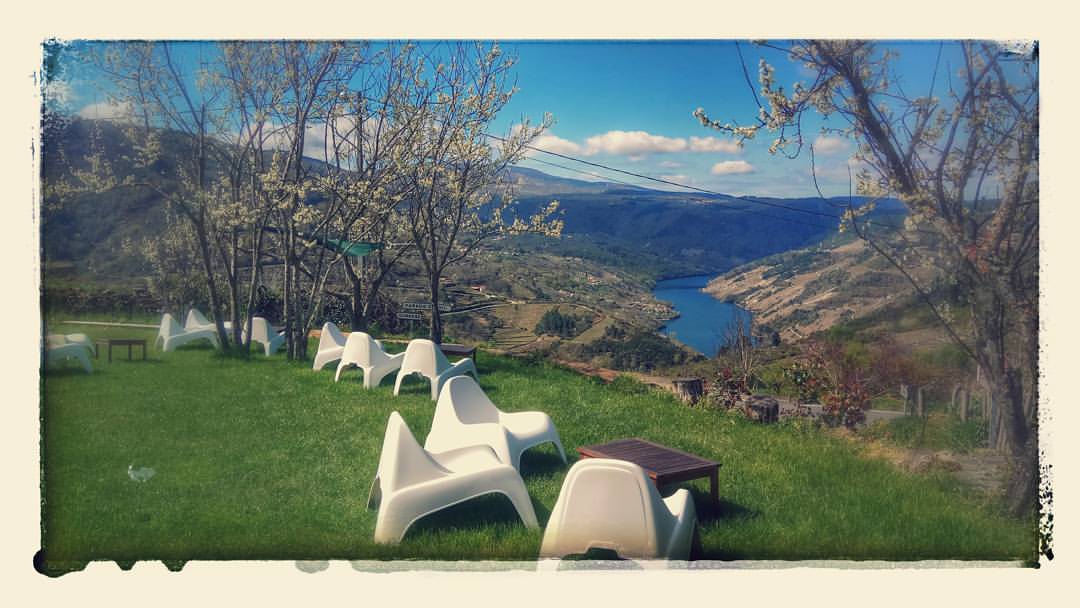 estwinetours's tweet photo. Ribeira Sacra is a little known wine region in Galicia, NW Spain 
https://t.co/l6LnI3ycDk #mencia #spanishwine #godello https://t.co/oLB9vjmMIy