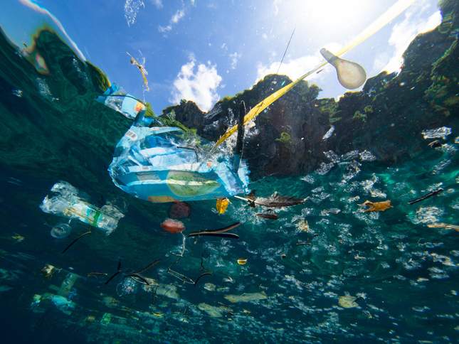TIPUAE's tweet photo. Read how #TIPEnvirotech's challenge of single-use plastics needs a quicker solution for our #oceans and how innovation is here to help us solve it:
https://t.co/L5zFWLn6IQ @SBShabib
#SingleUsePlastics #Ocean #Conversation #TIP #environment #innovation https://t.co/76NHIlFP28