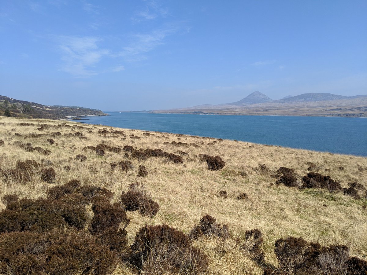 islayblog's tweet photo. Bright sunshine at the Sound of Islay https://t.co/RFlIHkbCNp