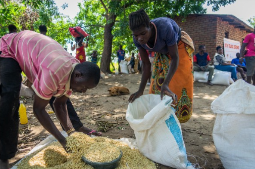 WFP's tweet photo. “I have lost everything, and it will take us some time to rebuild a new house, maybe on higher ground. In the meantime, at least the food I receive will help feed my children for a while.”

Ruthie Banda, a mother of 4 from #Malawi, about how #CycloneIdai affected their lives. https://t.co/NfxQigYzw1