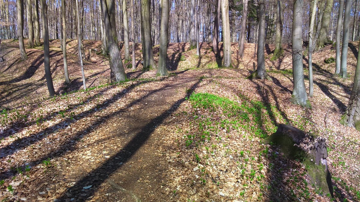 EL_Outdoors's tweet photo. Spring is here! Let's enjoy the good weather! #Frühling #Spring #Moritzberg #Diepersdorf #Lauf #Nürnberglandkreis #Woods #Wald #tree #Baum #green #grün #Franconia #Franken #Fränkischealb #Frankenjura #mountains #Berg #hill https://t.co/fbpFuhiSZr