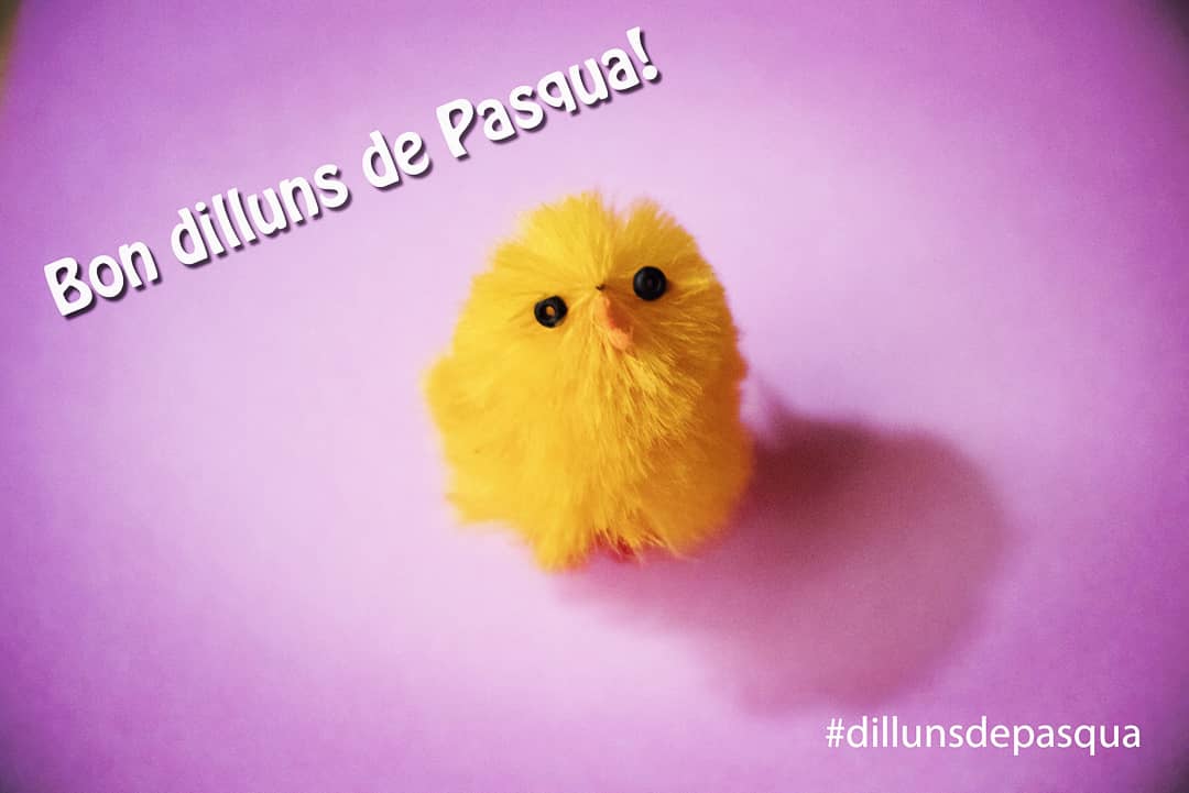 cgonbag's tweet photo. 🐥 🥚🐥🥚🐥🥚🐥 #dillunsDePasqua #FelizLunes #mona #easter #pollito https://t.co/kgNdKnLn6Y