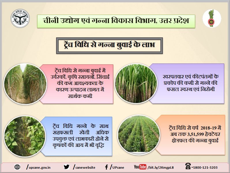 Cane Development UP tweet media