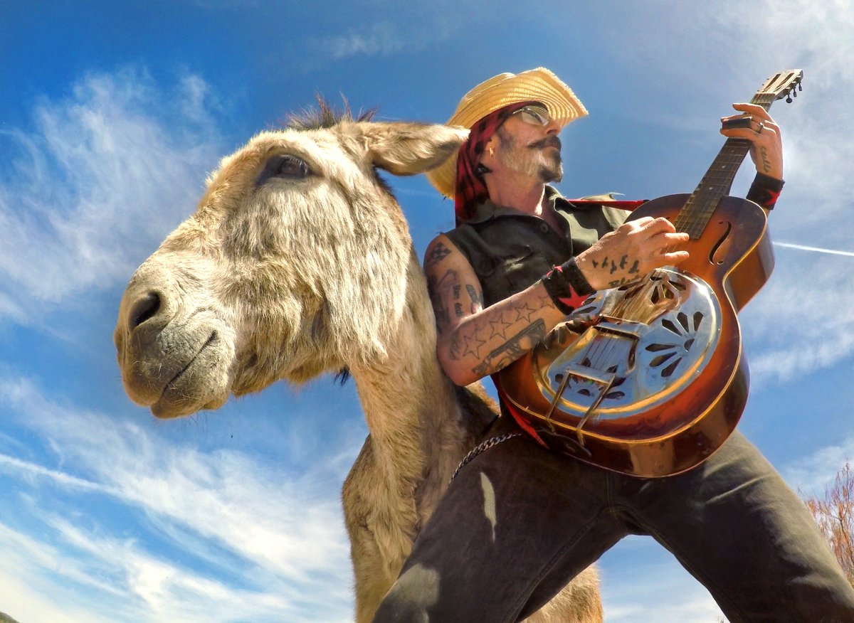 Start your week on a jamming high note. Happy Monday all. #christopherameruoso #hazelthedonkey #musicforanimals #rescueanimals #rheagardner #awesomeanimals