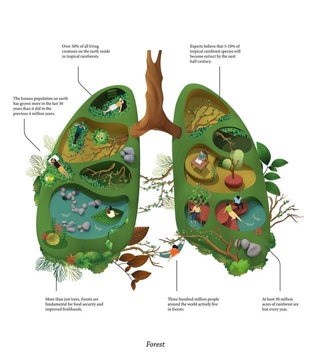 ASPB's tweet photo. An infographic on plants, nature and human interactions: https://t.co/UH6m3fu8IB #plantsci https://t.co/it8g1lbPuU