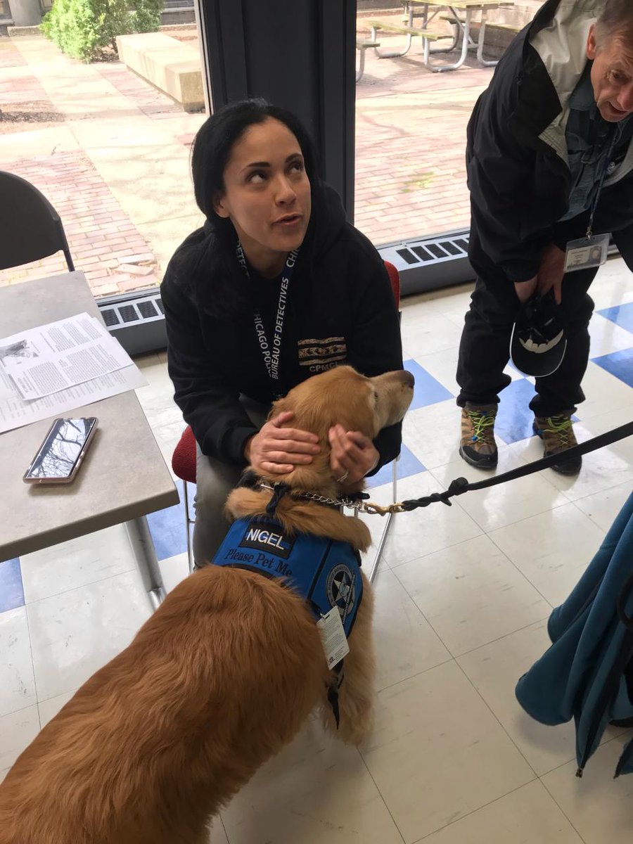 CPDETD's tweet photo. The police comfort dog Nigel visited the Chicago Police training academy! #cpdetd #trainingdays #spiritualwellness https://t.co/tfCeE9RjLl