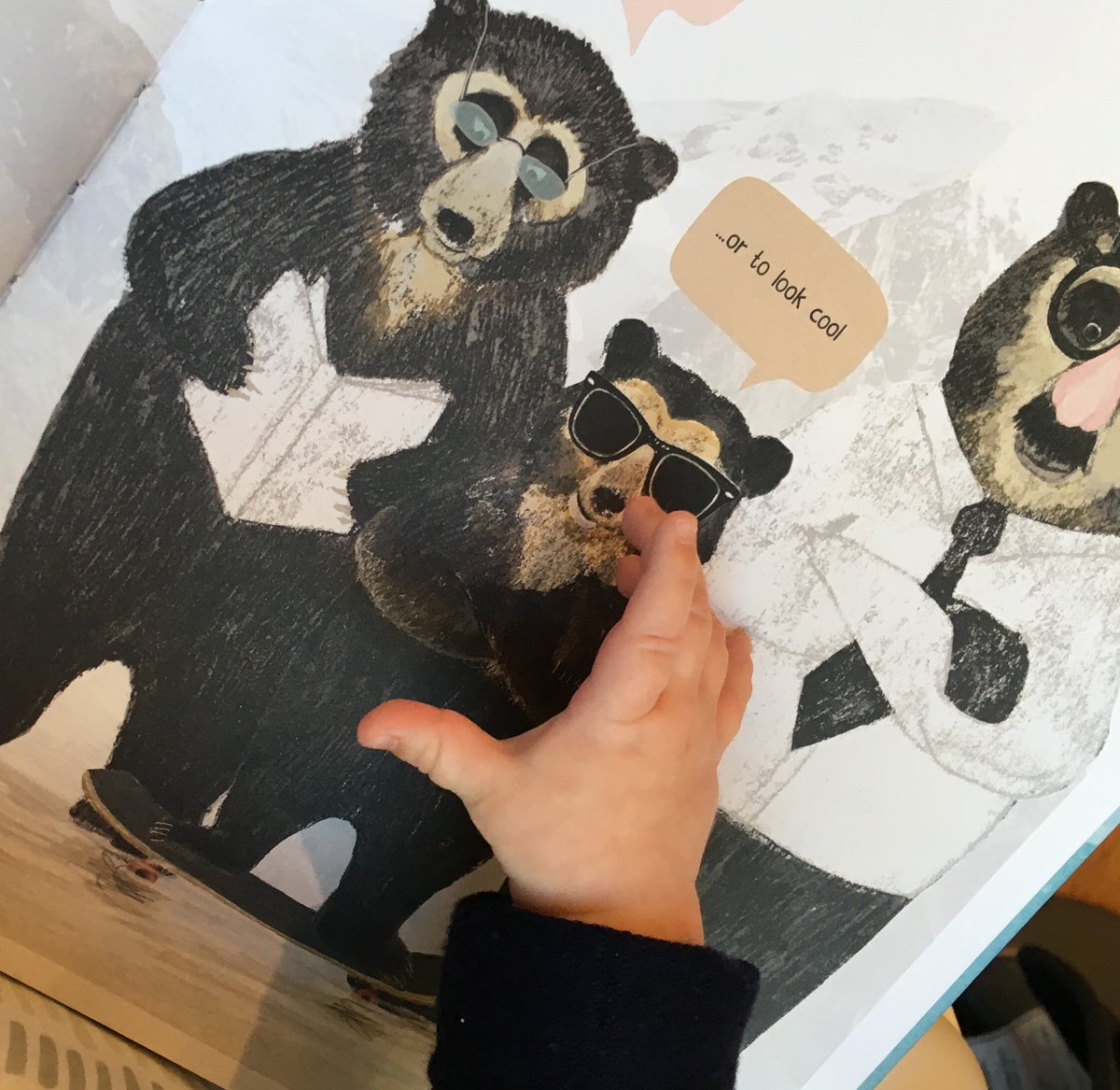 Casey's tweet photo. Georgina's favorite book is A BOOK OF BEARS by @katieviggers her favorite bear is the 'cool' bear for reasons too obvious to mention 🕶️ https://t.co/7La4asMy5q