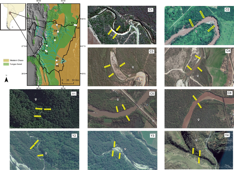 SpringerPlants's tweet photo. Read the latest #Plant #Ecology paper: #Riparian and adjacent #forests differ both in the humid mountainous #ecoregion and the #semiarid #lowland: https://t.co/BLSb4X8vhv  #SpringerNature #SNVEGE #riparianvegetation #riparianlandscape #riparianzones https://t.co/cQTxM5XcWW