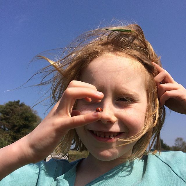 birchecocottage's tweet photo. Loads of ladybirds in our bio diverse grassland #permaculturedesign https://t.co/5gsmfKFaf7