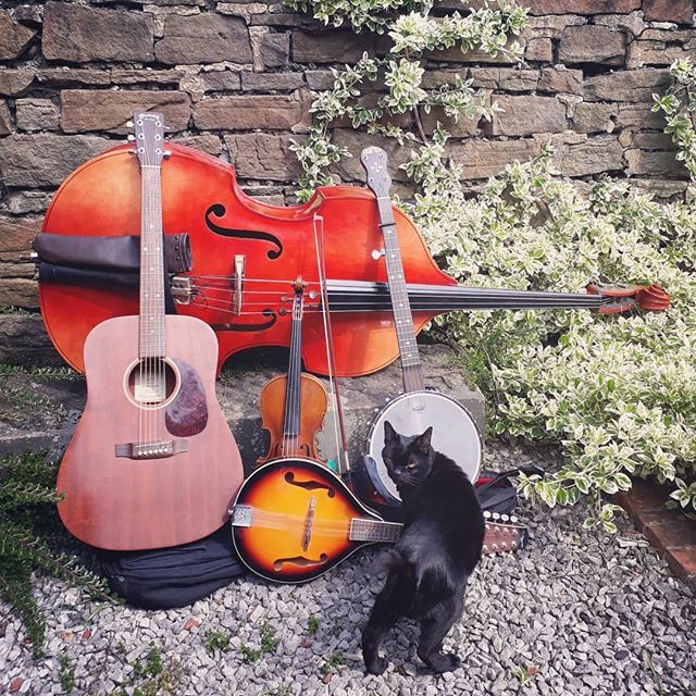 New tunes on the horizon #bluegrass #felinefolkies #sunsoutbanjout #folkmusicians #funinthesun #banjo #fiddle #doublebass #guitar instagram.com/p/BwjqWdWlqZw/