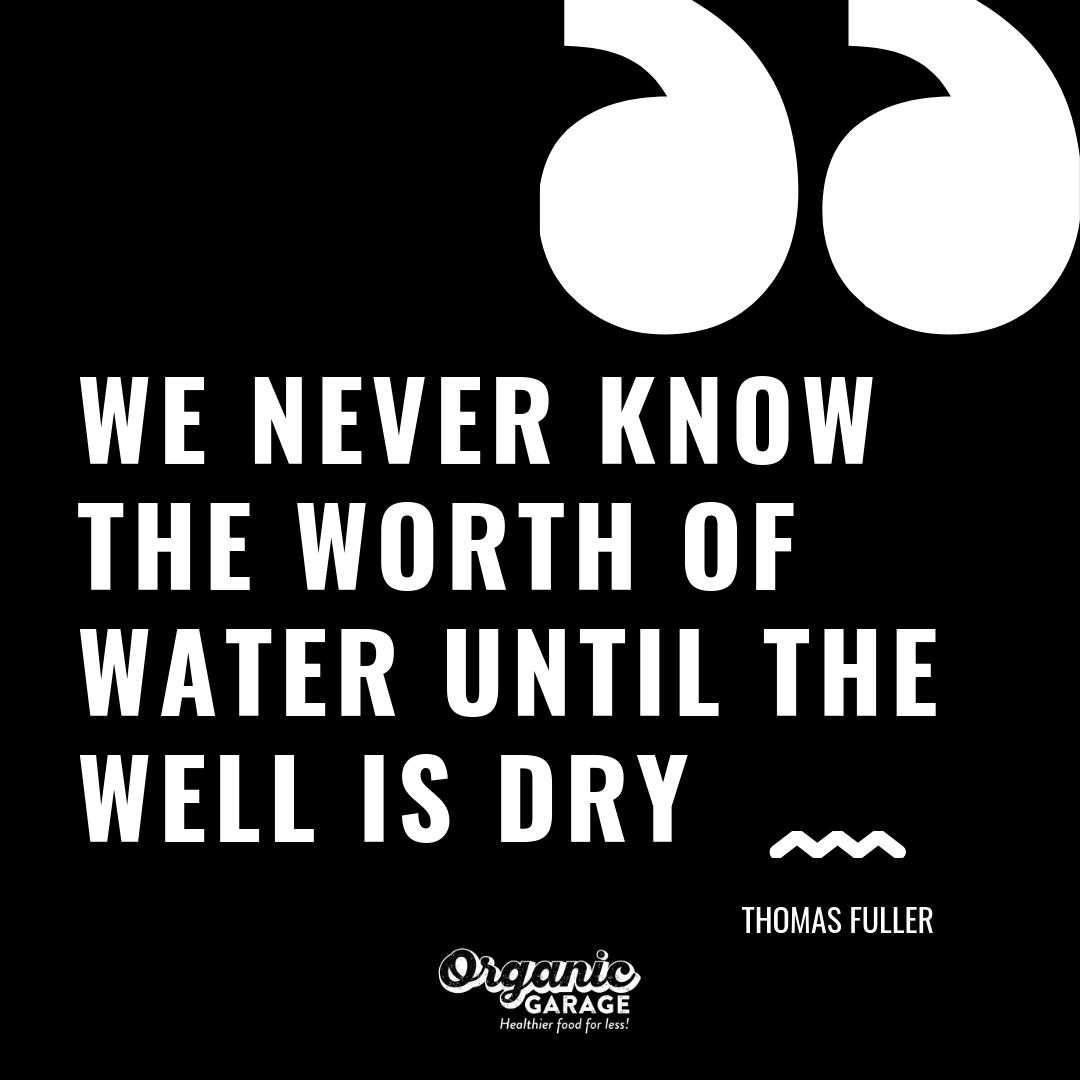 organicgarage's tweet photo. GRATITUDE π Today, take a moment to say thank you to Mother Nature for all that it gives & decide what small changes you can make to give back to it. #HealthyConscience #EarthDay https://t.co/Wbz86Gvfo7