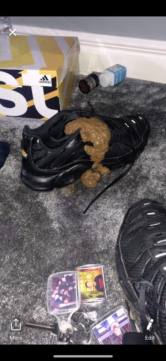 Just remember Morgan Bulman shat on his own shoe after a night out