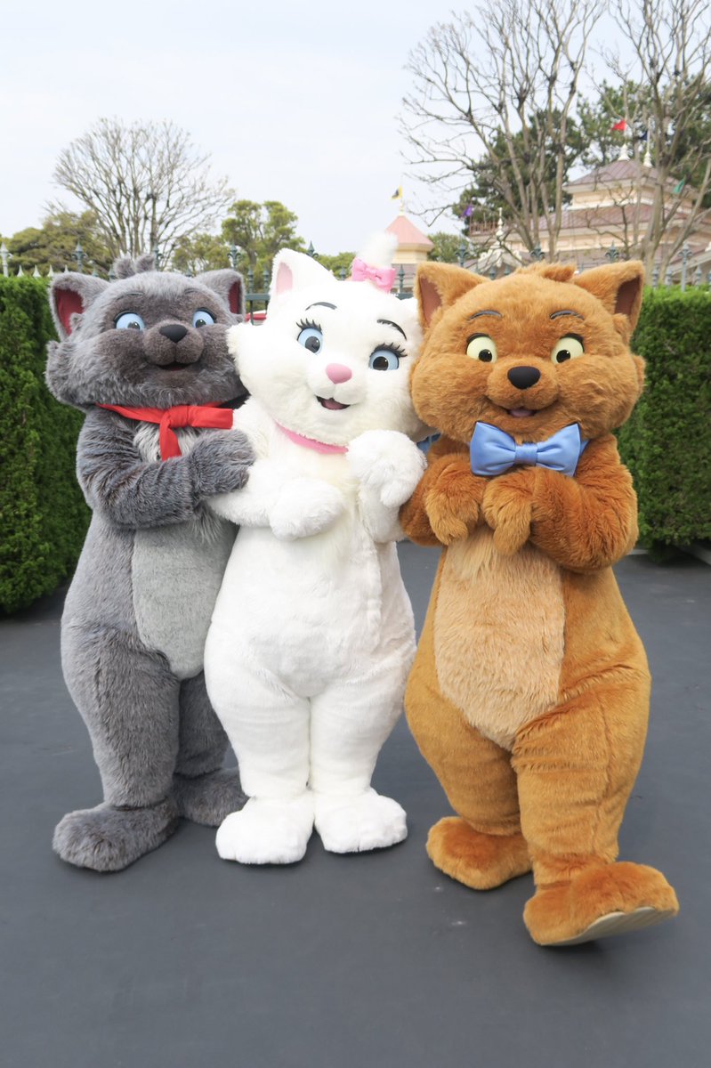 つっちー Dあか 昨日出会えた整列グリは おしゃれキャット の猫3匹 かわいい W アメフロとかで単体ではちょこちょこ会ってたけど 3人揃って撮ったのは初めてだった ディズニーランド エント整列 マリー トゥールズ ベルリオーズ つっちー Dあか 昨日出会えた整列グリは おしゃれキャット の猫3匹 かわいい W アメフロとかで単体ではちょこちょこ会ってたけど 3人揃って撮ったのは初めてだった ディズニーランド エント整列 マリー トゥールズ ベルリオーズ
