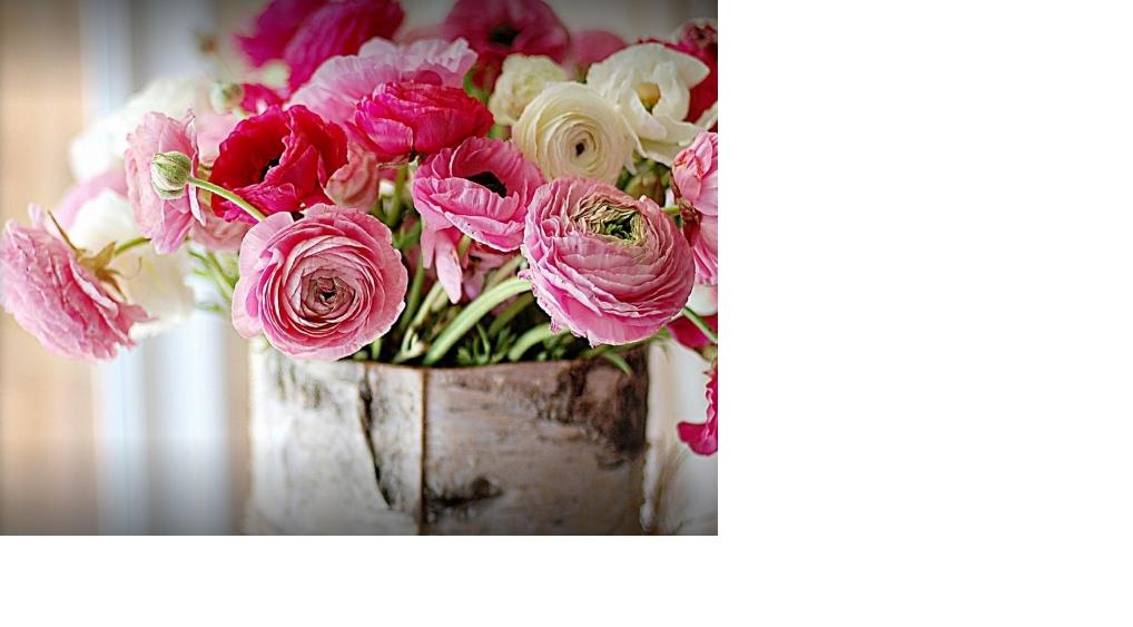 on Twitter "Menlo Florist is a premier floral and