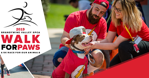 HalyHomeComfort's tweet photo. Come see the #Haly team at the #WalkforPaws this #Saturday April 27 in #WestGoshen Park in #WestChester, 9am-1pm. #walk, run, attend, donate, support!
https://t.co/OEiAlp4UBj
@BrandywineSPCA #dogs #cats #pets #AdoptDontShop https://t.co/HWiXquz45I