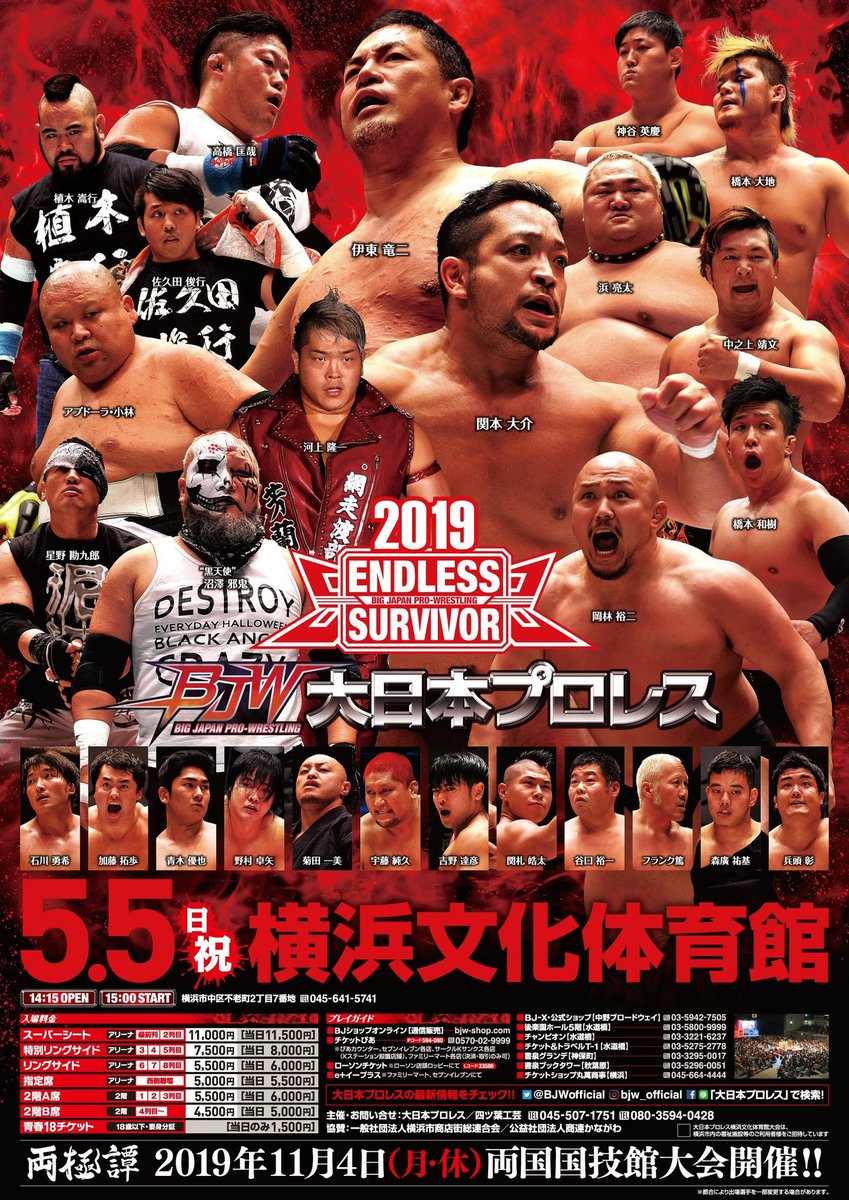 Image result for bjw endless survivor