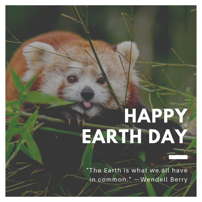 biggreenpurse's tweet photo. Happy #EarthDay from Big Green Purse! https://t.co/rFIKfdlBs3