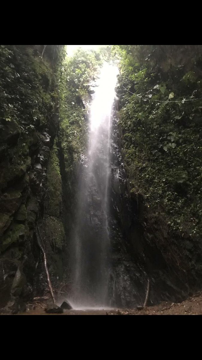 Wiyear17Yepes's tweet photo. @LoveStellina_ #BonitoDía
#Crysss
#Gracias
#PorLasBellas
#Vibras...
#PorCompartir
#TúHermosa
#FormaD #SER... https://t.co/b1lD2Dey5L