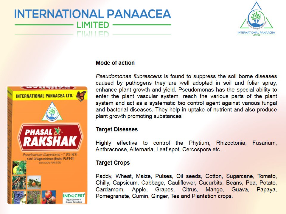 IPLBiologicals's tweet image. To suppress the #soil borne diseases and enhance the #plant growth &amp;amp; #yield, we recommend our best product #PhasalRakshak to our #farmers
#organic #farming #agriculture #crop #vegetables #fruits @IPLBiologicals