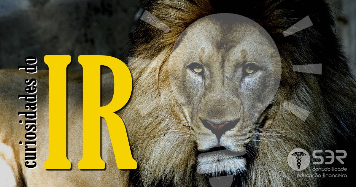 podeS3R's tweet photo. Além de saber que todo ano deve-se fazer a declaração de rendimentos, o que mais você sabe sobre o imposto de renda?

Clique aqui https://t.co/MyXBW7tepb e confira algumas curiosidades, inclusive o por quê de a receita usar o leão como símbolo do IR.

Aqui você pode S3R!

#IR https://t.co/a9d0mE4C2P