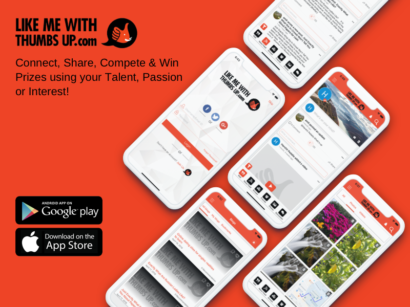 abhi_ln's tweet photo. We @letsnurture designed &amp; developed social networking platform that allows users to showcase talents to the next level. Our experienced UI/ UX design team is the catalyst for the brand logo, visual style, illustrations on web and mobile platforms (Android/ iOS).
#letsnurture https://t.co/2fvYBwF8Fp