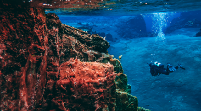 How can #AI augment #supplychain #WatsonSupplyChain <a href="/procurious_/">Procurious</a> @IBMSupplyChain #supplychain bit.ly/2VXYikF