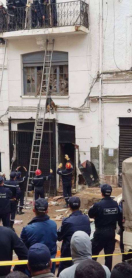 MaliaBouattia's tweet photo. The people continue to suffer from the regime’s greed. A child &amp; his father killed in a collapsed building in #casbah Algiers this morning. They should have been rehoused instead their building looks like it was given a coat of paint as part of the city’s “restoration” project https://t.co/RQKMWj9PKY