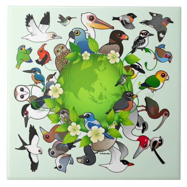HomeBazaar's tweet photo. Happy #EarthDay #earthday2019 #Birds #birdsoftwitter https://t.co/r6Mxz9Yc1p