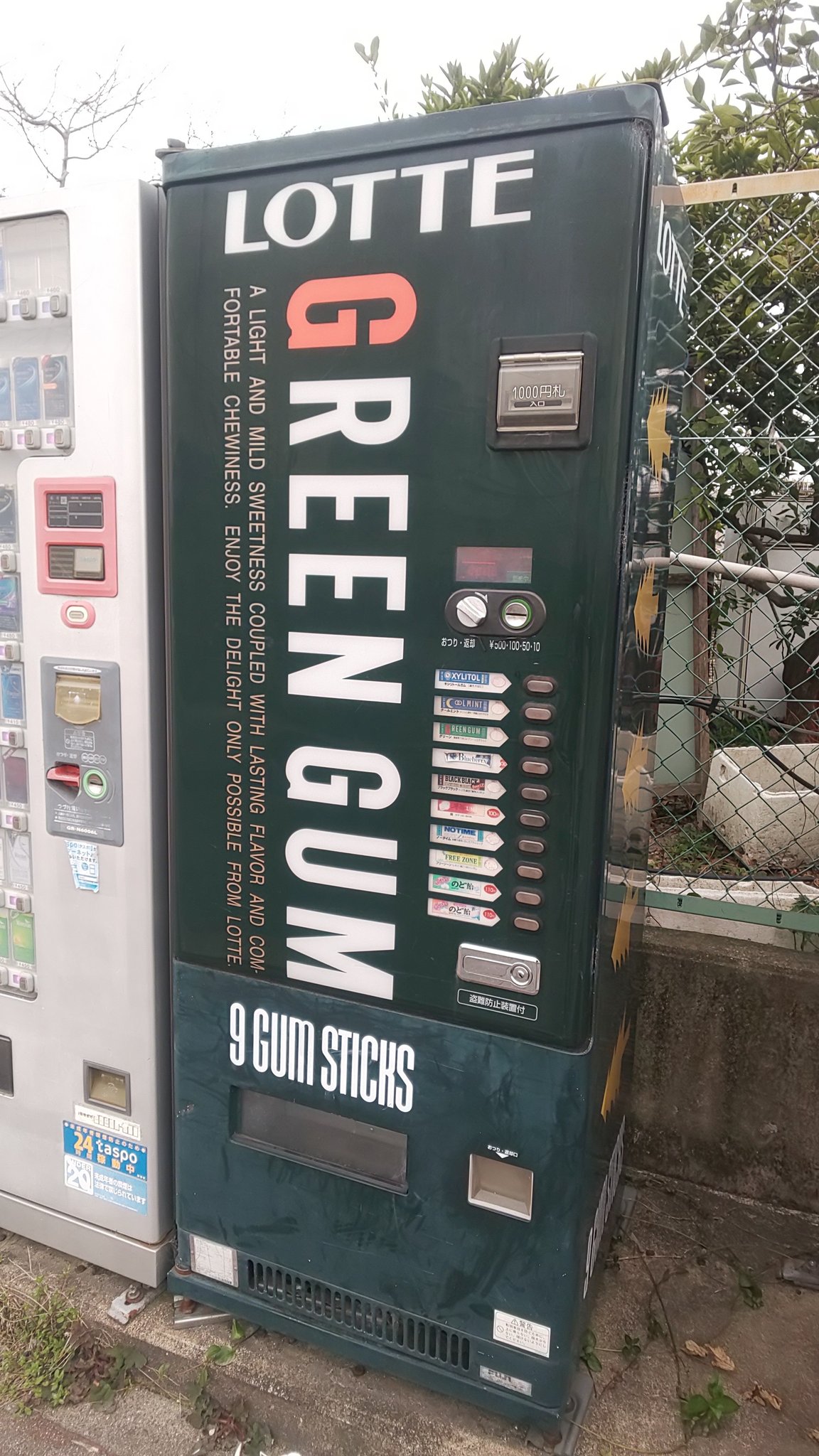ロッテガム 卓上自動販売機 本体 板ガム : トレジャーハンティン