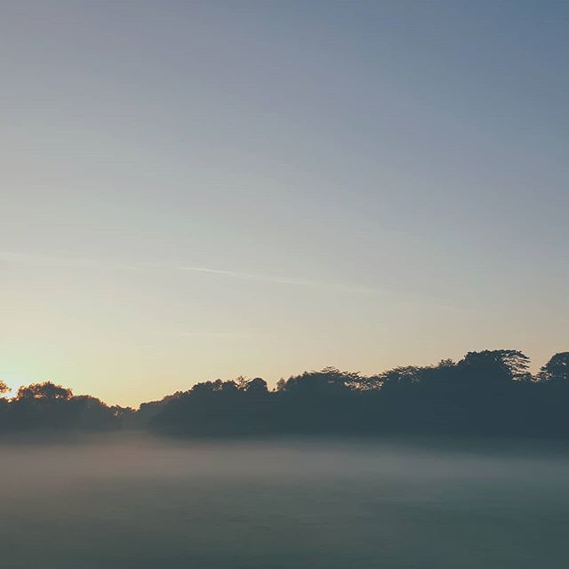 kazesuki's tweet photo. Foggy no more. #seletar https://t.co/baXgCHKwXN https://t.co/NQodvOurPN