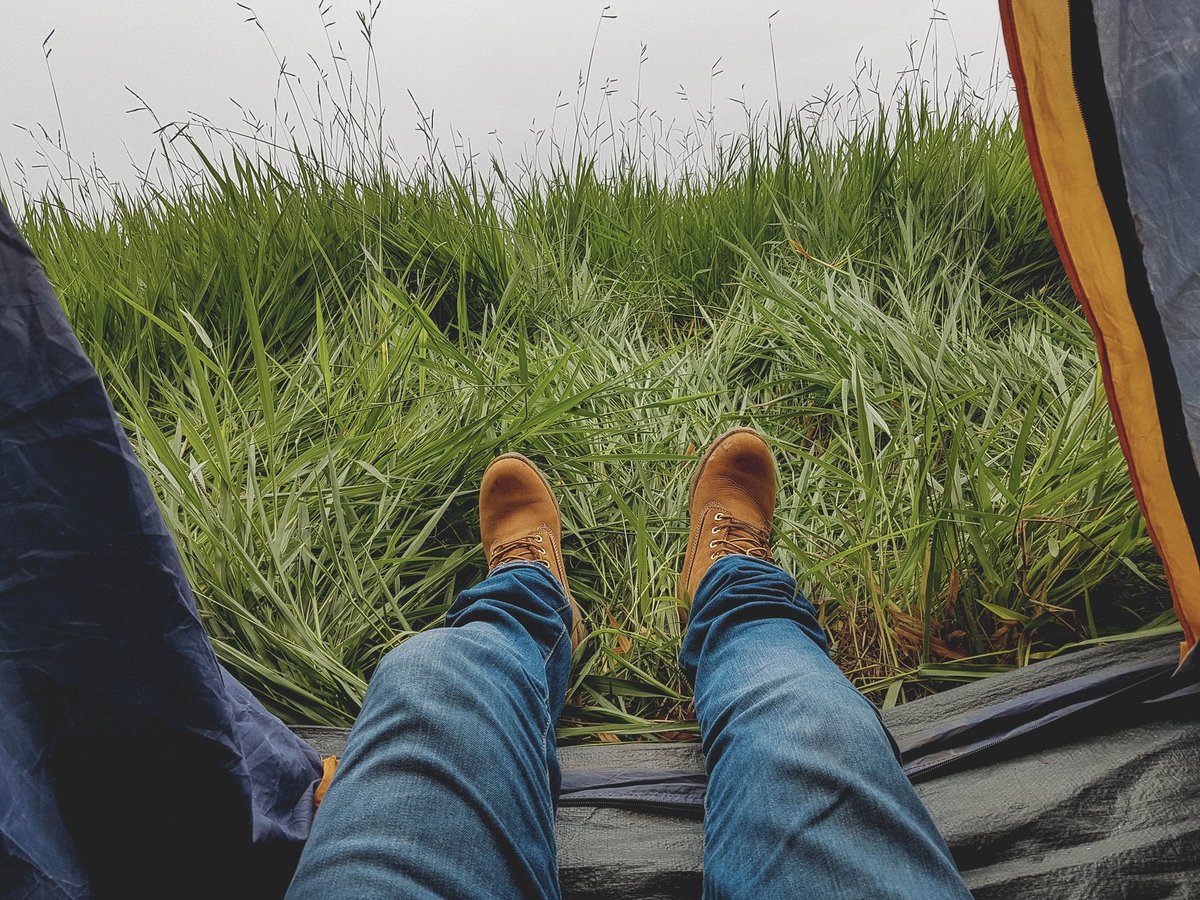 Kite Hill Farm tweet media