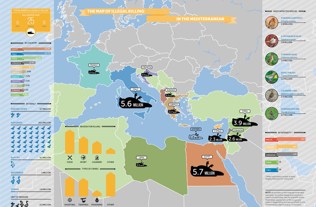 Also, I have seen several racist reactions to reports of bird killings that are not reprimanded enough by the  #conservation community. The scale of  #poaching in Lebanon is very worrisome, but shooting and trapping birds is commonplace in rural cultures all over Europe.