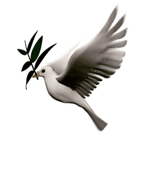 ValledelSoleC's tweet photo. 🕊🌴🕊🌴🕊🌴🕊🌴🕊🌴🕊🌴
FELICE PASQUETTA A TUTTI❣ https://t.co/oa4bSiFzJ0