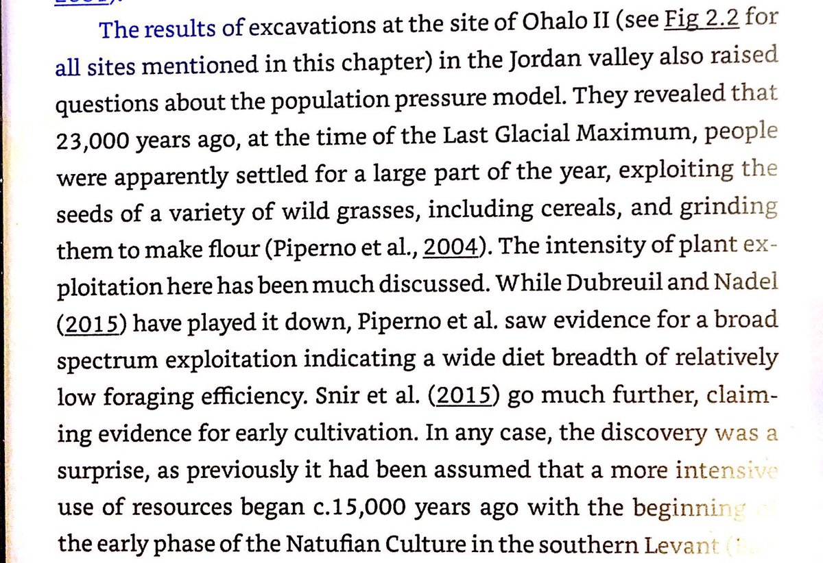 Primitive farming as early as 21000 BC