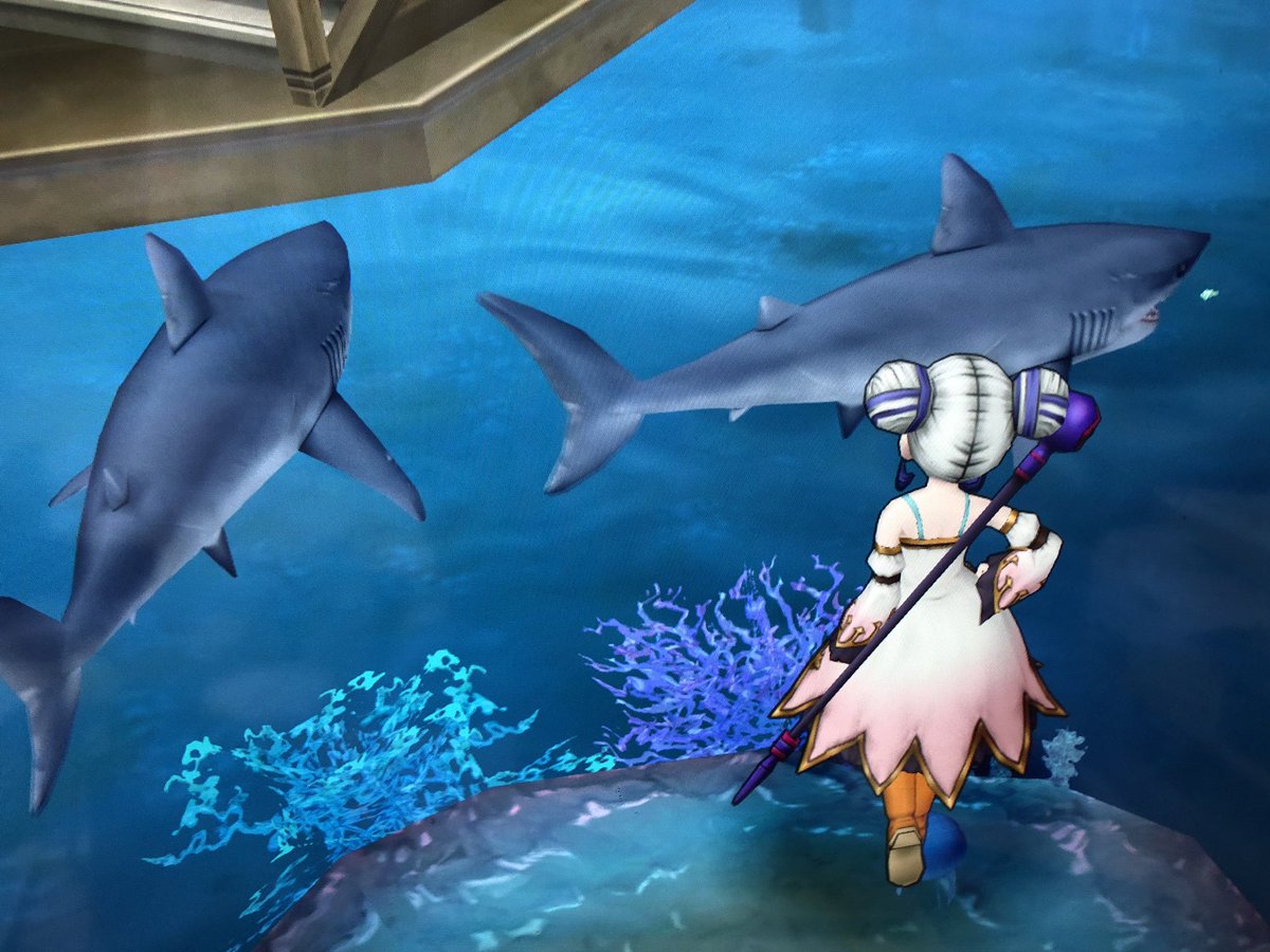 Uzivatel 亜紀 刹那 Na Twitteru サメっていい W ドラクエ10の住居は 床が 水槽に出来るから 釣った魚鑑賞出来る素晴らしい 住宅 更に巨大魚を釣らなければ