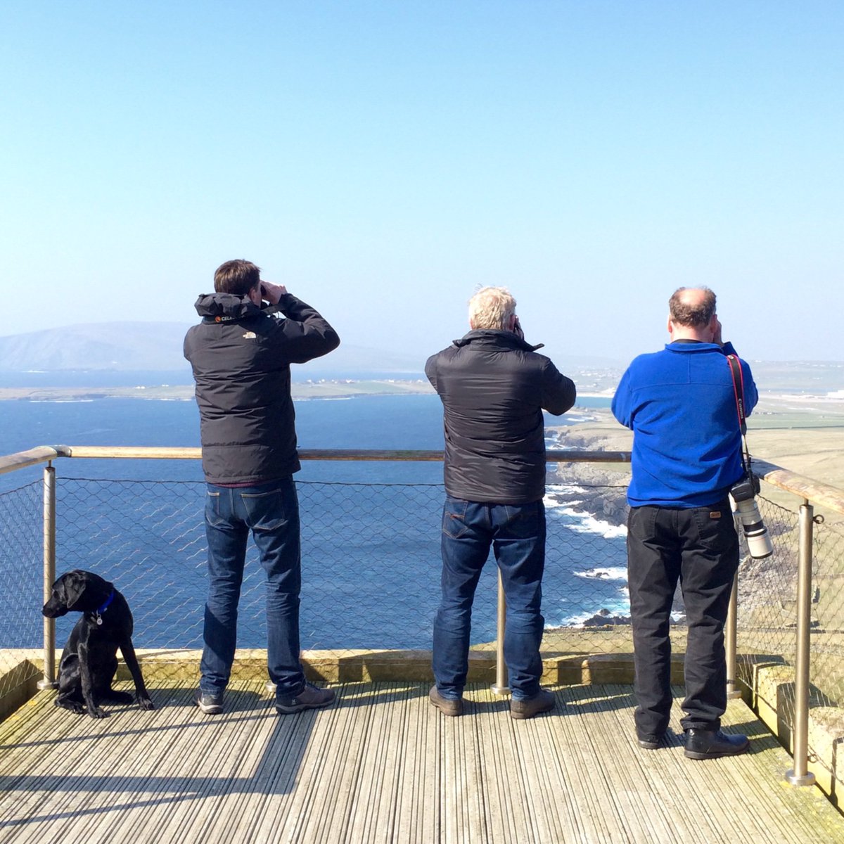 SumburghHead's tweet photo. Three Men and a Dog looking for a Black Kite at Sumburgh Head! #shetland #ChasingPhil https://t.co/BU5OjxRirO