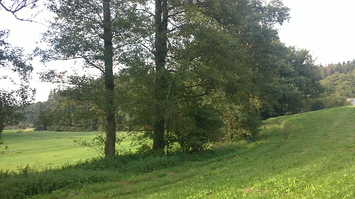 book field