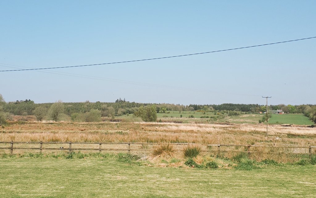 KieranCroghan's tweet image. Am I living in Ireland or Spain?☀️😎
#BankHolidayMonday #MondaySunday #Summer