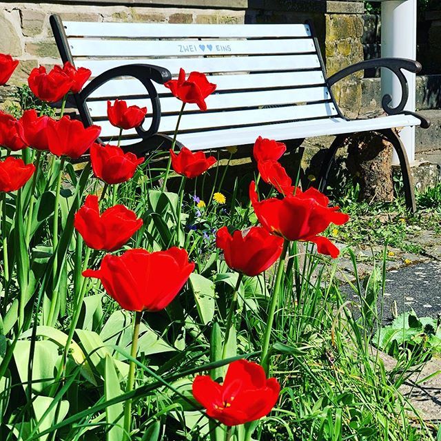 Holzbank Hashtag On Twitter