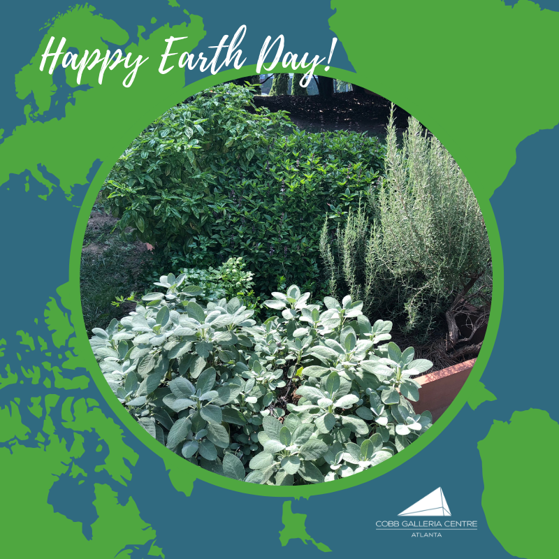 Happy Earth Day! We're going to be spending it out in the garden.  We grow things like tomatoes, peppers, basil and much more that then get used in one of #ChefWalker's delicious recipes! #cobbgallericentre #atlantafood #atlantaevents #earthday #sustainability