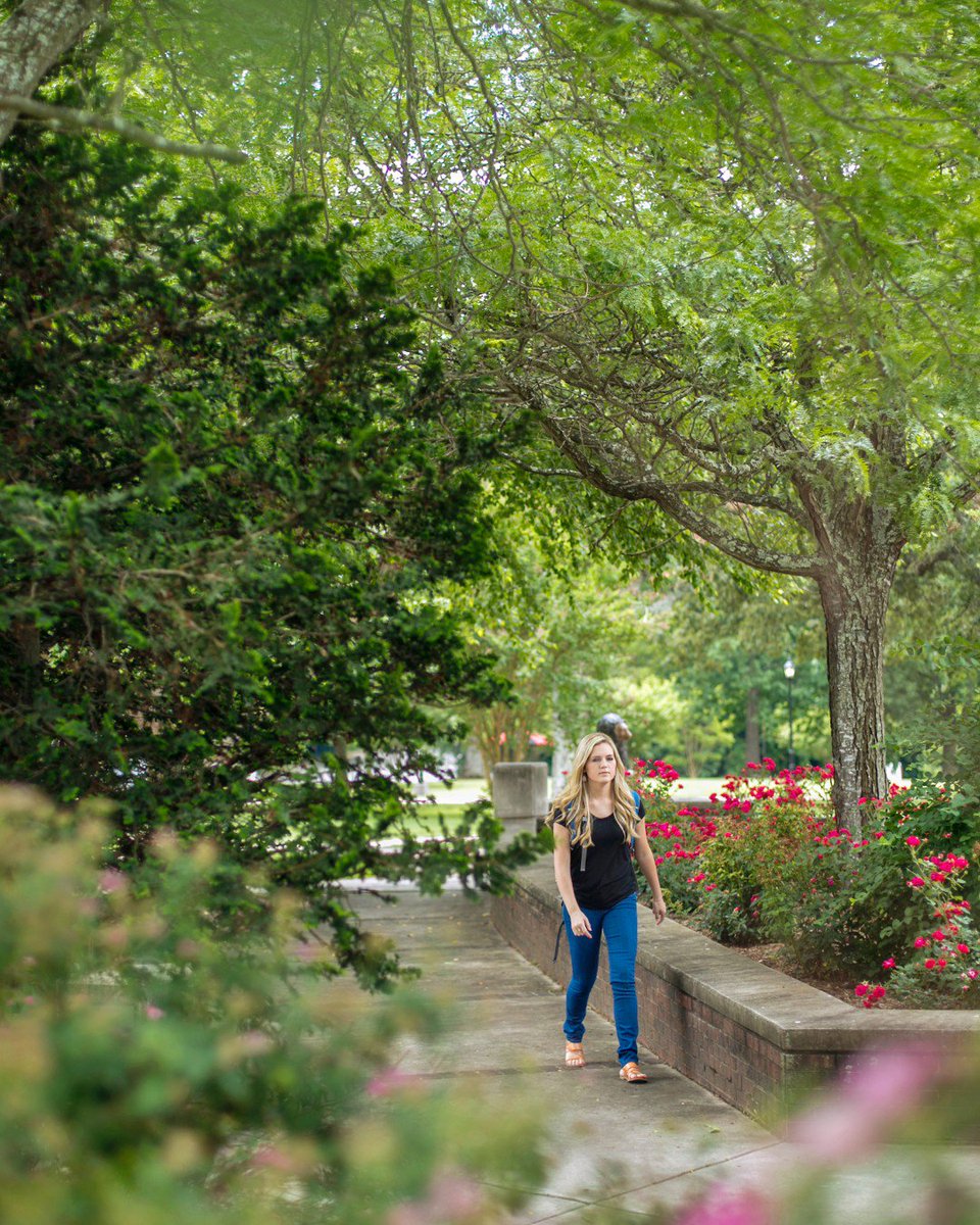 lenoirrhyne's tweet photo. Happy Earth Day! Be sure to get outside and enjoy the weather today! 🐻🌎 https://t.co/yapJzBckBN