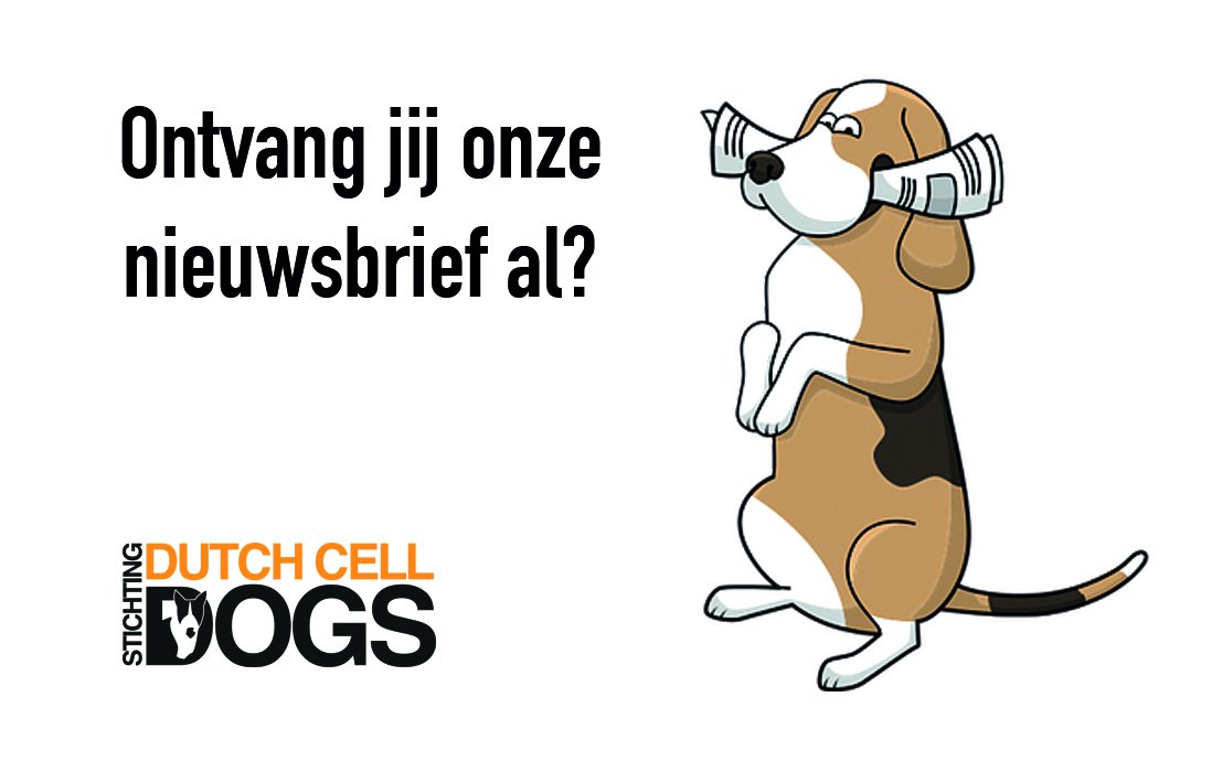 DutchCellDogs's tweet image. Heb jij je nog niet aangemeld voor de nieuwsbrief? Doe dat dan snel en ontvang altijd het leukste Dutch Cell Dogs nieuws als eerste. Aanmelden kan via: dutchcelldogs.nl/nieuwsbrief/