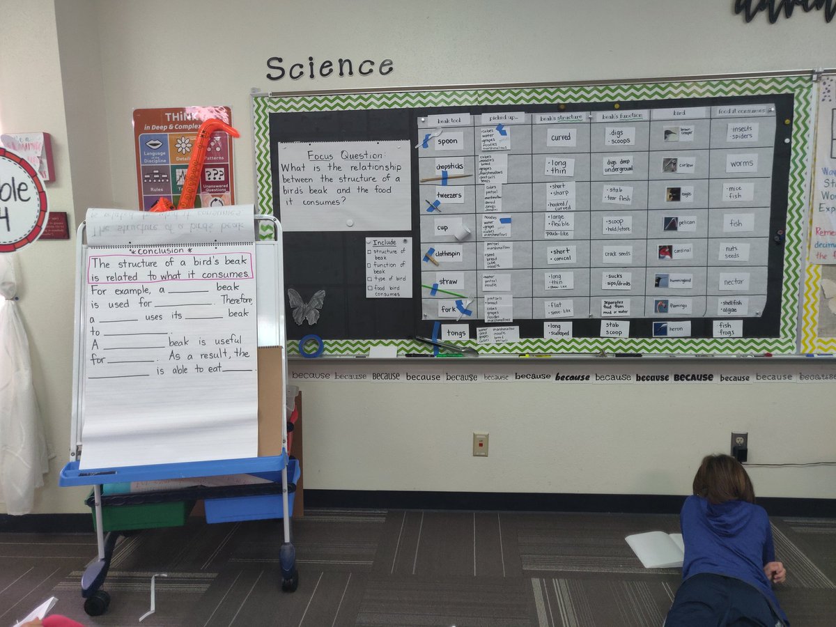 MrsDurham4th's tweet photo. Connecting Interactive Word Walls and Writing in Science! 

The wall would be better with student writing, but we're doing what we can with multiple classes working together to build a wall. 😁

@OTESchool #rrisd4 #WritinginScience #InteractiveWordWalls #bringingitalltogether https://t.co/DbdEGgOoP7