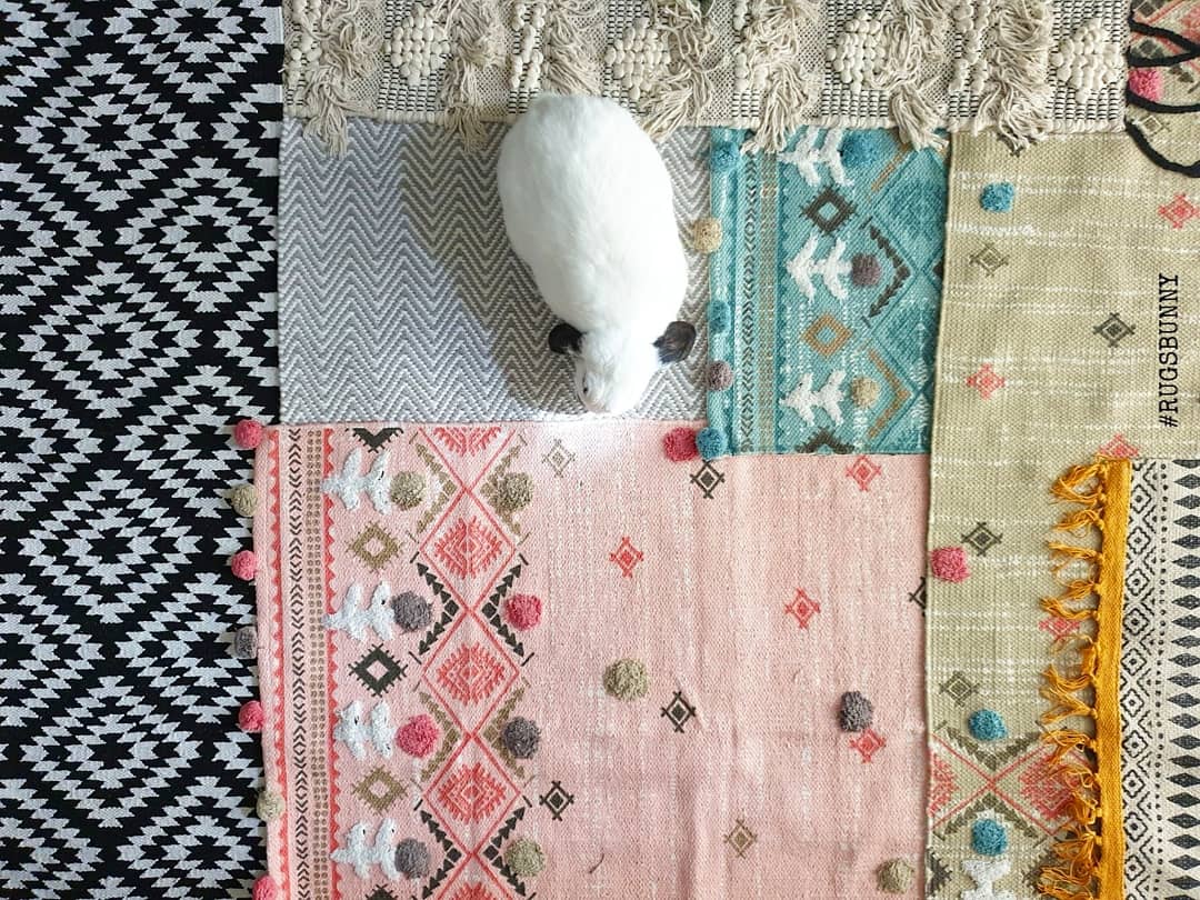 _Sam_etc's tweet photo. We've had a fun weekend of Easter crafts, roast dinners, egg hunts and hiding from the sun (yeah i'm basically a vampire).
I'm sticking with the Easter #rugsbunny for #theweeklyshop, you know the drill...
https://t.co/U2pfI4FZT8 https://t.co/t1XKztdpHZ
